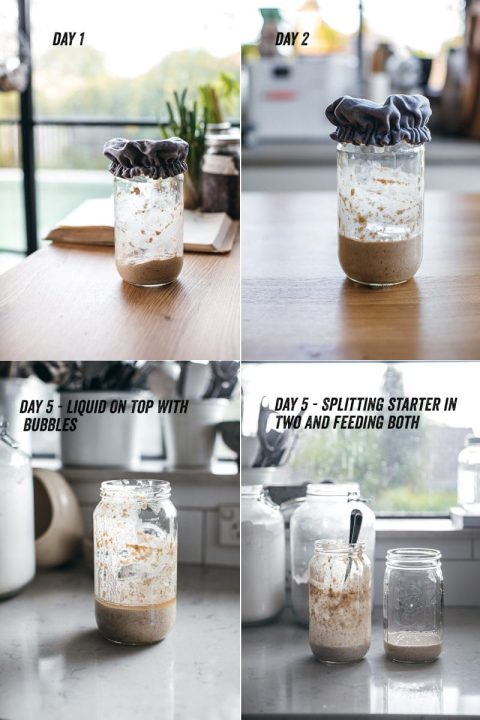 How To Make A Sourdough Starter At Home - Tips, Tricks And ...