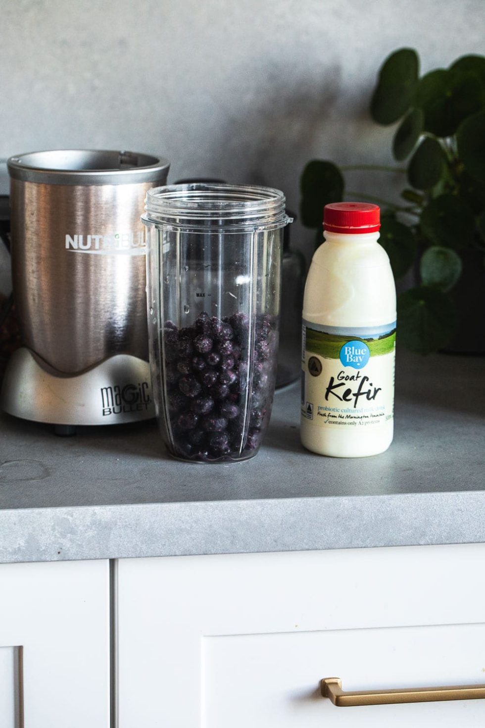 Blueberry Kefir Smoothie - Cook Republic